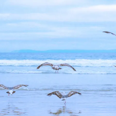 De Strandjutter - Aan Zee * Julianadorp