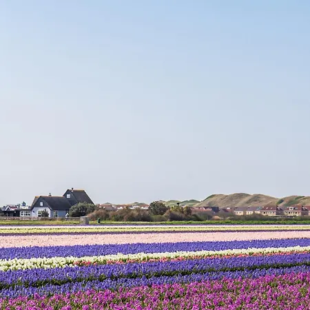 De Strandjutter - Aan Zee Apartman