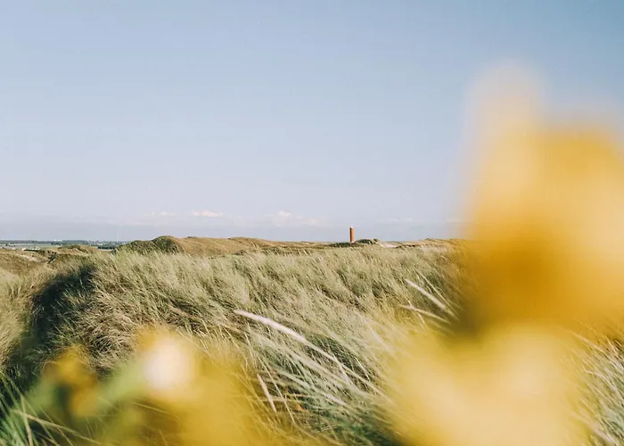 De Strandjutter - Aan Zee Julianadorp